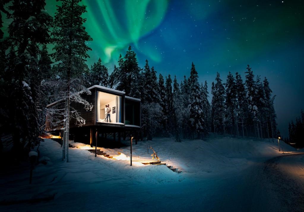 buyuleyici-kuzey-isiklari-lapland-turlar-dahil-1-gece-arctic-treehouse-otel-konaklamasi