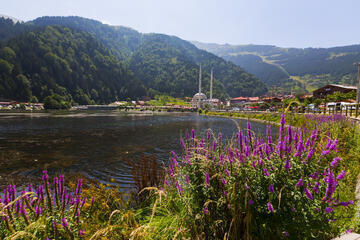 Karadeniz Rüzgarı Ve Batum Turu 4 Gece Itinerary Image