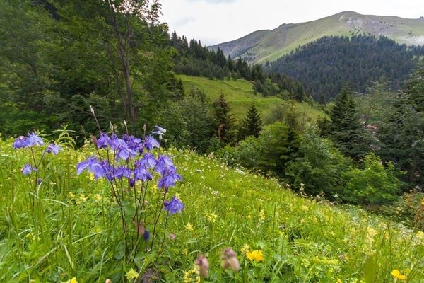 Ramazan Bayramı Özel Ankara Çıkışlı Karadeniz Rüzgarı ve Batum Turu 4 Gece Otel Konaklama