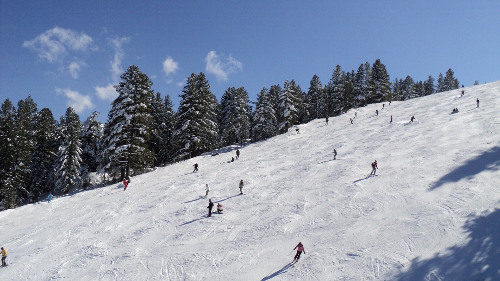 Bansko Kayak Turu  Özel Otobüs   4  gece