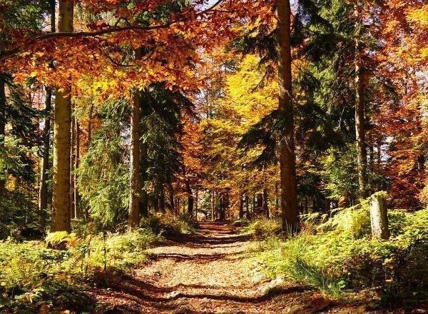 Nisan Ara Tatil Özel Kastamonu Kanyonlar Safranbolu ve Zonguldak Turu 1 Gece