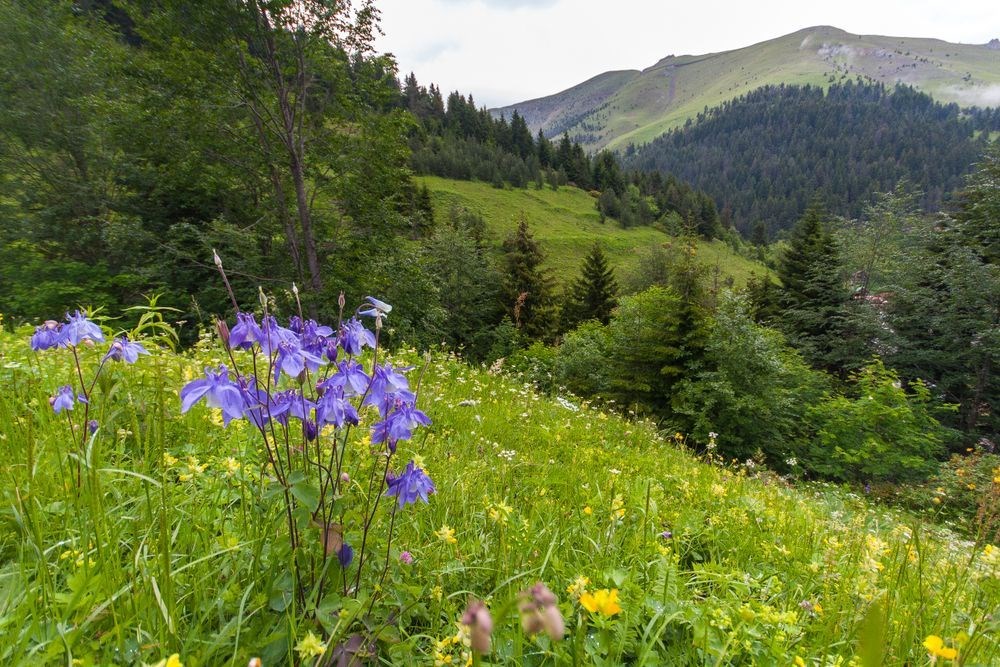 Ramazan Bayramı Özel Karadeniz Rüyası ve Batum Turu 5 Gece Otel Konaklamalı