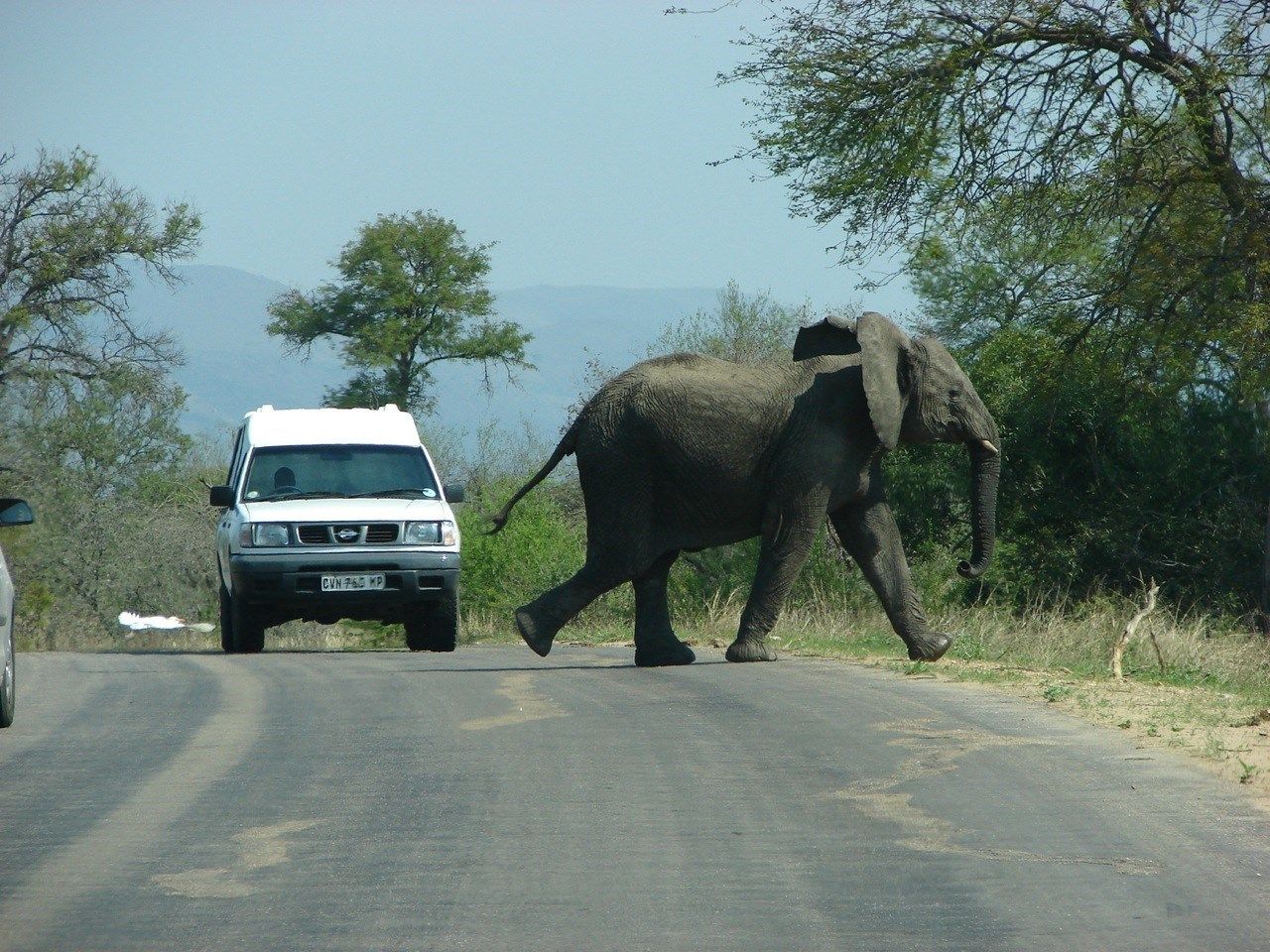 Güney Afrika Safari Rotası Türk Hava Yolları 6 Gece