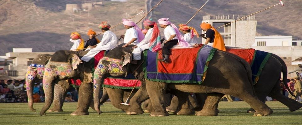 Elegant Hindistan Altın Üçgen Türk Hava Yolları 5 Gece 