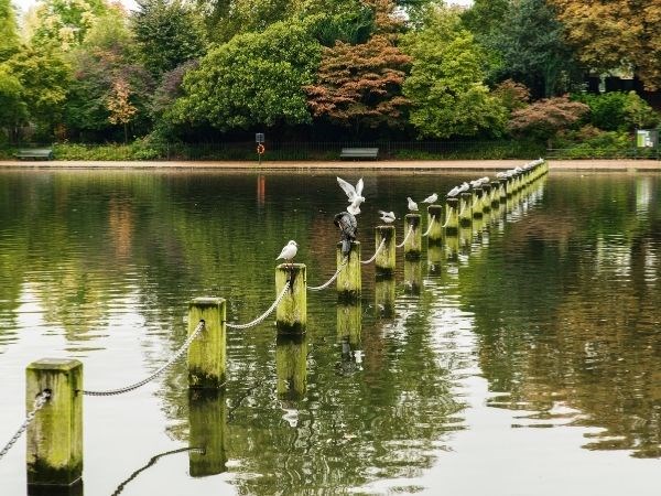 Çocuklarla Londra, Müzeler ve Harry Potter Turu Türk Hava Yolları 3 Gece (Tüm Turlar Dahil) 