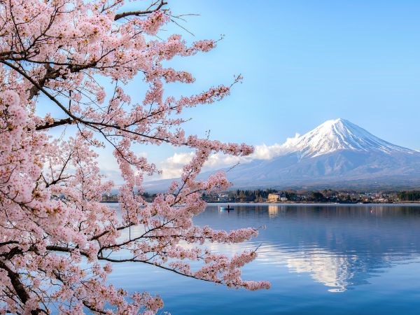 Japonyanın Gizli Hazineleri Türk Hava Yolları 7 Gece