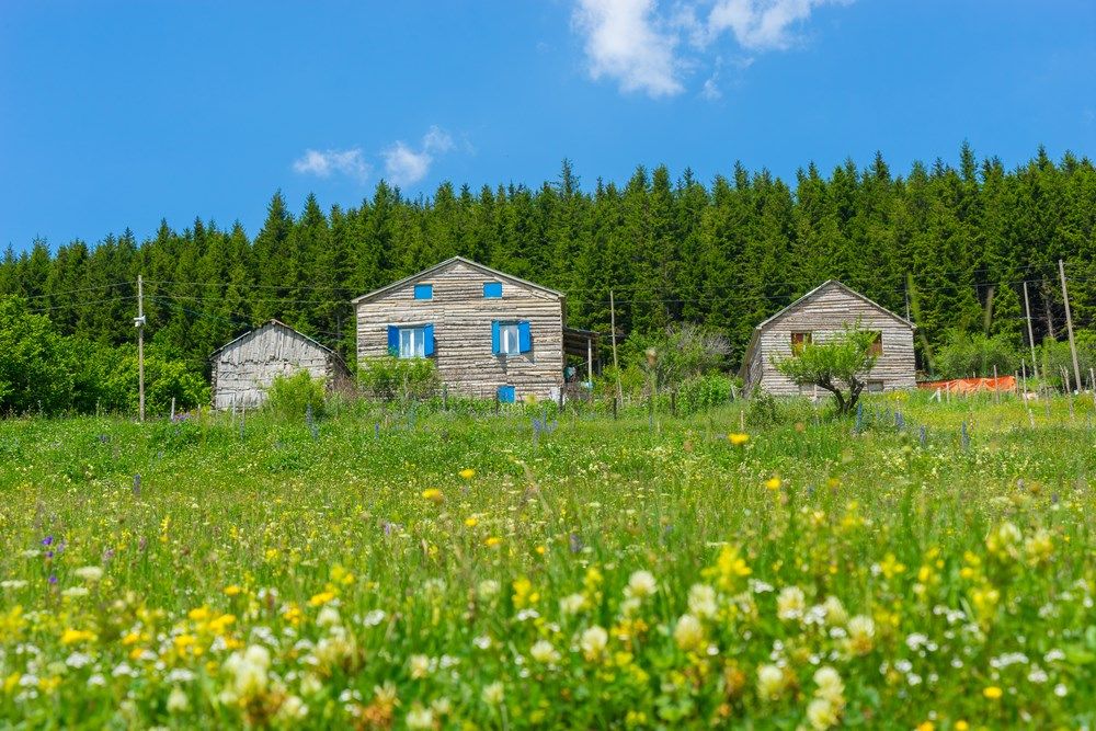 Nisan Ara Tatil Özel Uçaklı Karadeniz ve Batum Turu 3 Gece