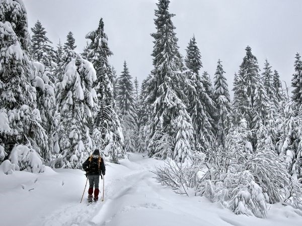 Safranbolu Ilgaz Dağı Kayak Turu 1 Gece