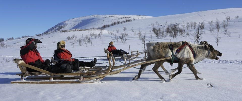 Lapland Beyaz Rotalar Türk Hava Yolları 2 Gece