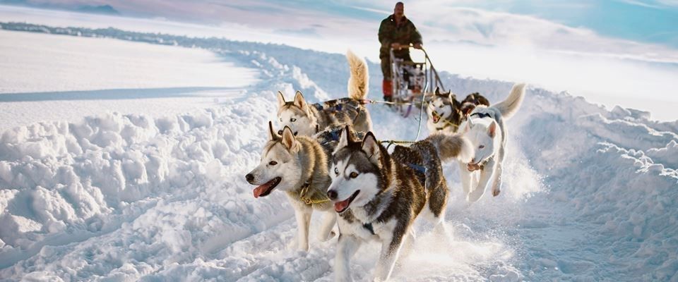 Lapland Beyaz Rotalar Türk Hava Yolları 2 Gece