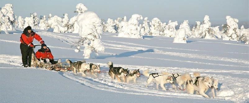 Lapland Beyaz Rotalar Türk Hava Yolları 2 Gece