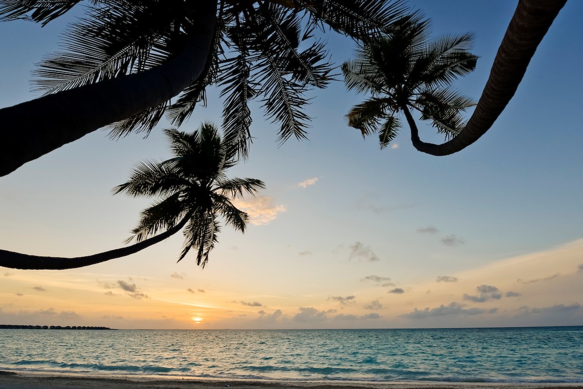 KANDIMA MALDIVES 5 gece  Sky Studio'da her şey dahil Konaklama THY