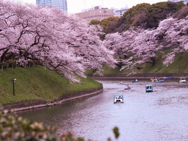 **Kurban Bayramı** Doğan Güneşin Ülkesi Japonya Türk Hava Yolları 7 Gece