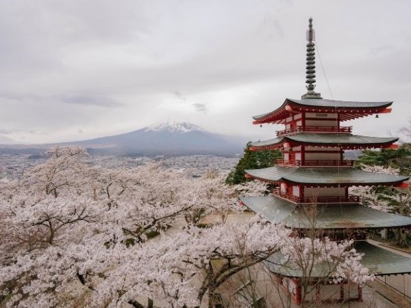 **Kurban Bayramı** Doğan Güneşin Ülkesi Japonya Türk Hava Yolları 7 Gece