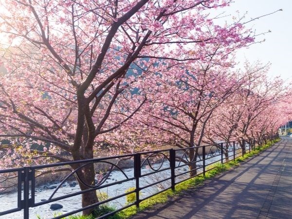 **Kurban Bayramı** Doğan Güneşin Ülkesi Japonya Türk Hava Yolları 7 Gece