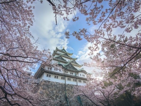 **Kurban Bayramı** Doğan Güneşin Ülkesi Japonya Türk Hava Yolları 7 Gece