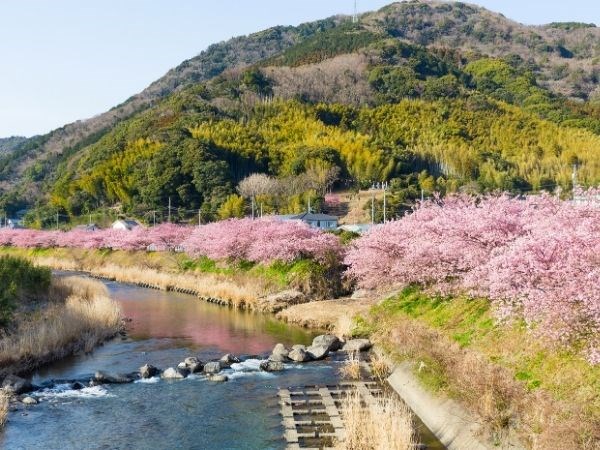 **Kurban Bayramı** Doğan Güneşin Ülkesi Japonya Türk Hava Yolları 7 Gece