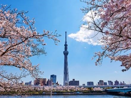 Uzak Doğu'nun Güneşi ve Çiçeği Güney Japonya ve Güney Kore  Qatar Hava Yolları 9 Gece 