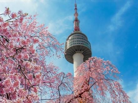 Uzak Doğu'nun Güneşi ve Çiçeği Güney Japonya ve Güney Kore  Qatar Hava Yolları 9 Gece 