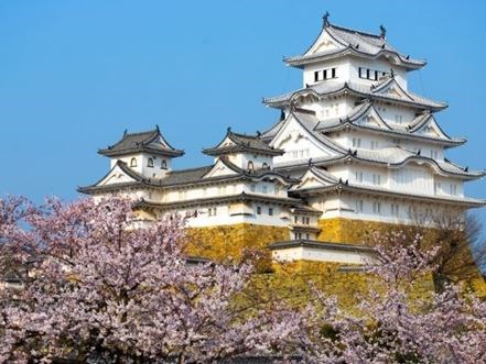 Uzak Doğu'nun Güneşi ve Çiçeği Güney Japonya ve Güney Kore  Qatar Hava Yolları 9 Gece 