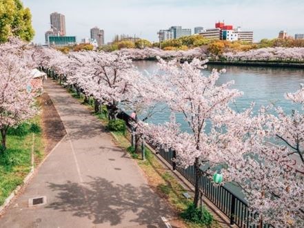 Uzak Doğu'nun Güneşi ve Çiçeği Güney Japonya ve Güney Kore  Qatar Hava Yolları 9 Gece 