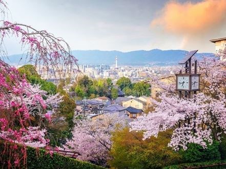 Uzak Doğu'nun Güneşi ve Çiçeği Güney Japonya ve Güney Kore  Qatar Hava Yolları 9 Gece 