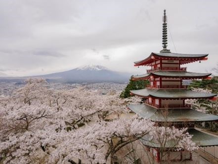 Uzak Doğu'nun Güneşi ve Çiçeği Güney Japonya ve Güney Kore  Qatar Hava Yolları 9 Gece 