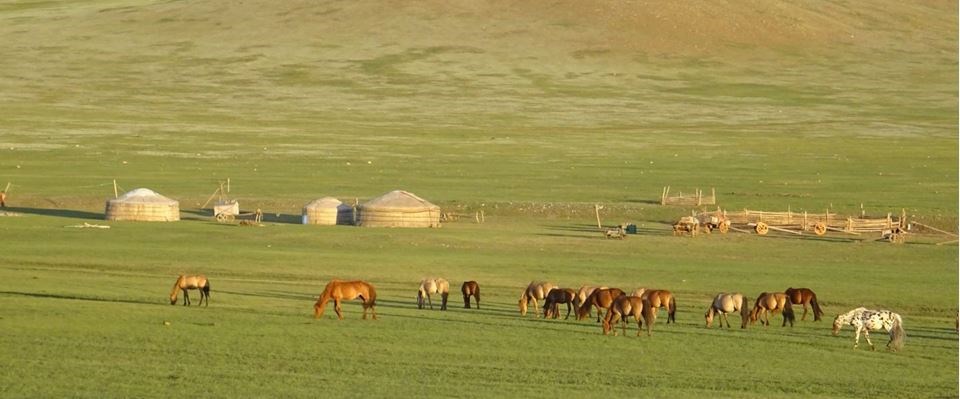 Türk Dünyasının Bozkırdaki Kalbi Moğolistan Miat Hava Yolları 7 Gece