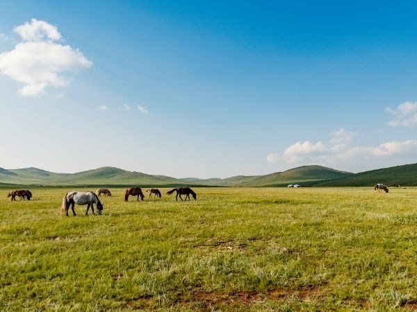 Türk Dünyasının Bozkırdaki Kalbi Moğolistan Miat Hava Yolları 7 Gece