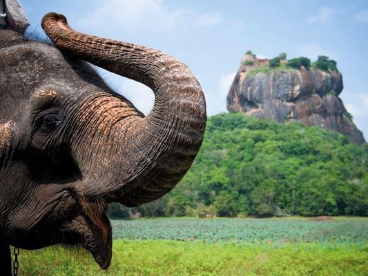 Büyük Sri Lanka Rotası Türk Hava Yolları 5 Gece 