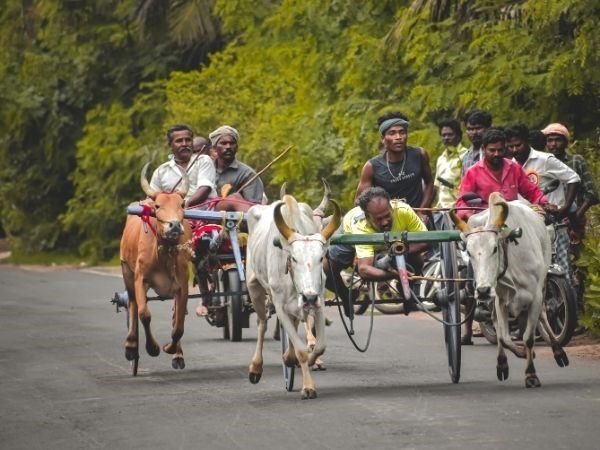 Büyük Sri Lanka Rotası Türk Hava Yolları 5 Gece 