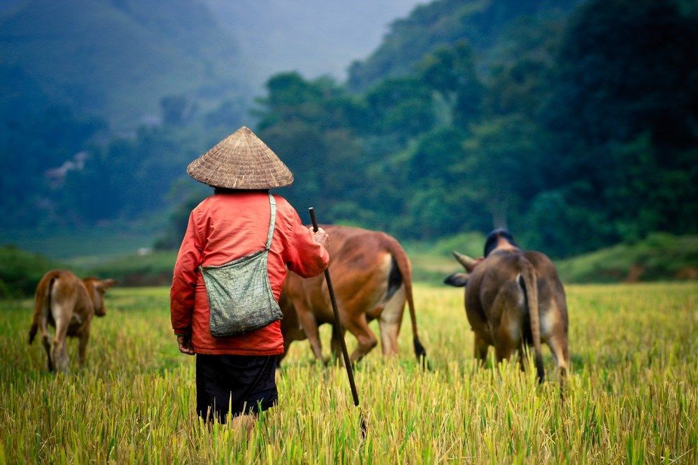 Vietnam Kamboçya Rotası Türk Hava Yolları 7 Gece 