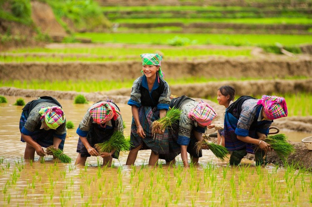 Vietnam Kamboçya Rotası Türk Hava Yolları 7 Gece 