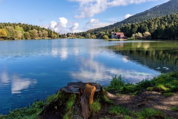 Nisan Ara Tatil Özel Yedigöller ve Düzce Şelaleler Turu 1 Gece