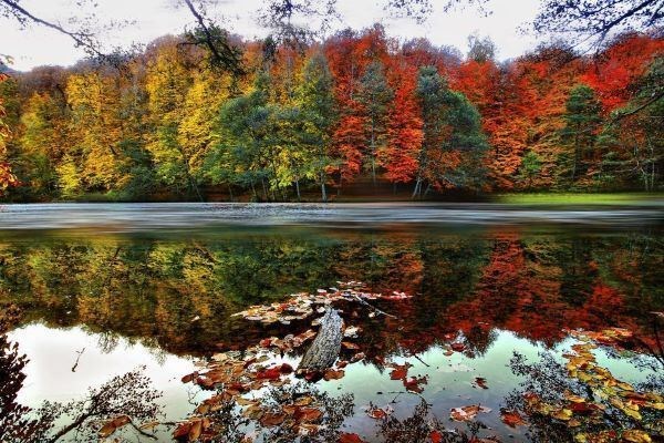 Nisan Ara Tatil Özel Yedigöller ve Düzce Şelaleler Turu 1 Gece