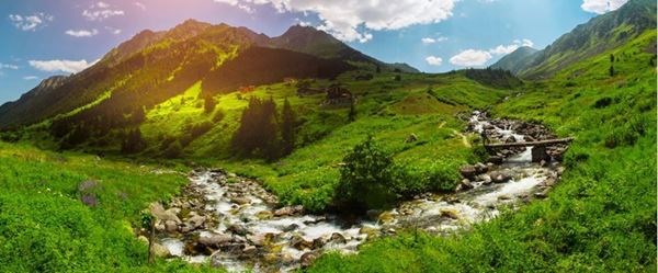 Dünya Kadınlar Günü Özel Uçaklı Karlar Altında Karadeniz Ve Batum Turu 3 Gece